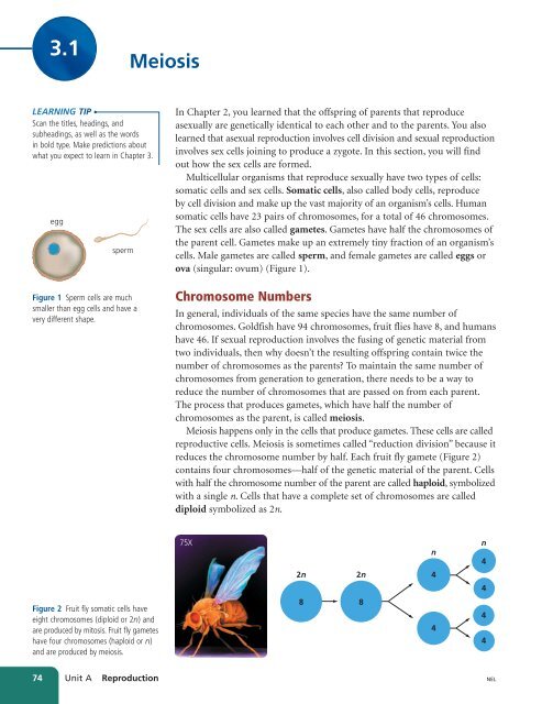 Unit A Reproduction