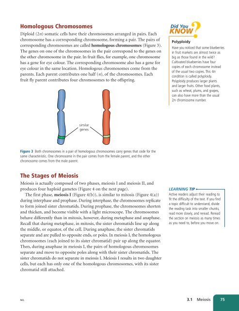 Unit A Reproduction