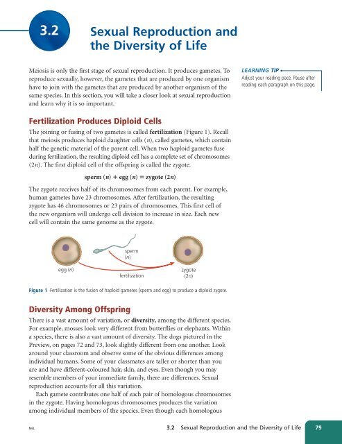 Unit A Reproduction