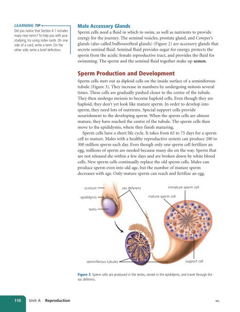 Unit A Reproduction