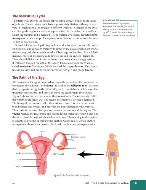 Unit A Reproduction