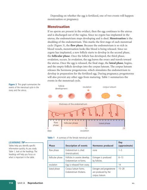 Unit A Reproduction