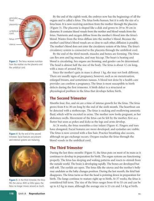 Unit A Reproduction