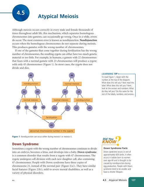 Unit A Reproduction