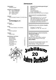 Dorfblatt 80 - Gemeinde Hirzel