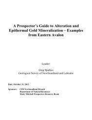 Epithermal Gold - Department of Natural Resources