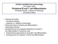 Peripheral B and T cell differentiation - University Institute of ...