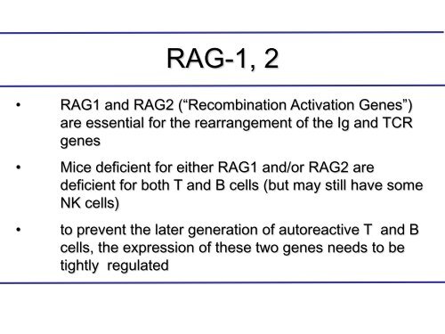 Peripheral B and T cell differentiation - University Institute of ...