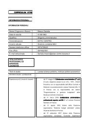 CURRICULUM VITAE-1 - Estav Centro