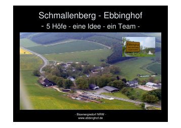 Bioenergiedorf Ebbinghof, Peitz