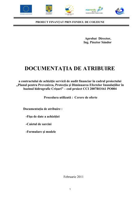 Docum. atribuire audit financiar