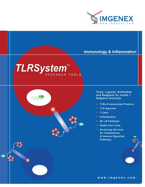 Immunology & Inflammation