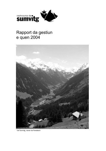 Rapport da gestiun e quen 2004