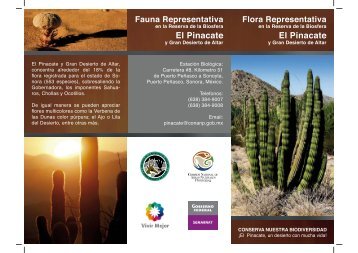 Triptico FLORA.indd - Reserva de la Biosfera El Pinacate y Gran ...