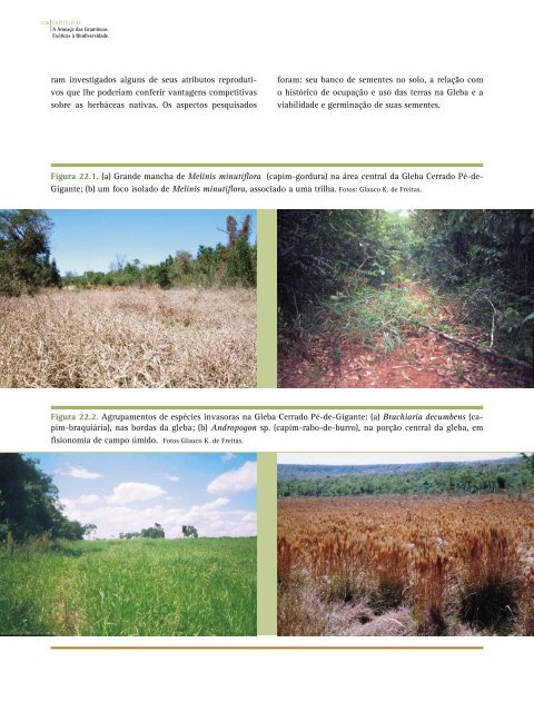 CAP 22 -A Ameaça das Gramíneas Exóticas à Biodiversidade. In ...