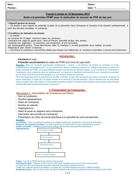 Dossier PSE Travail prÃ©paration - Bac Pro Eleec