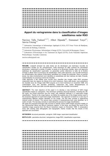 Apport du variogramme dans la classification d'images radar RSO