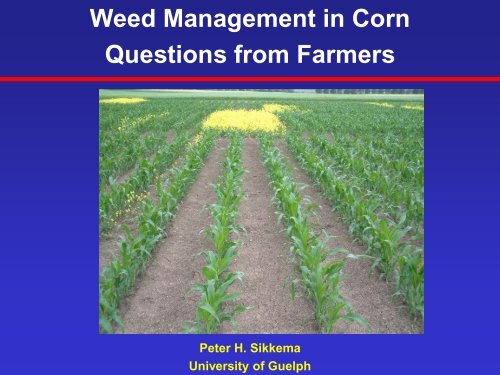 Weed Management in Corn - University of Guelph