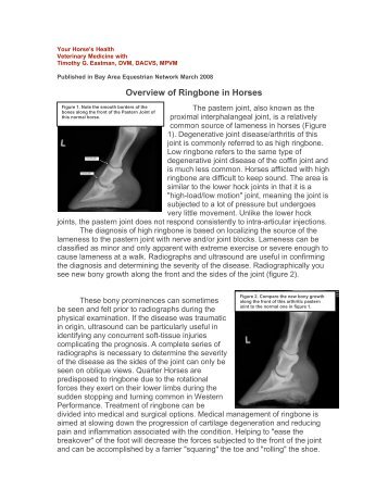 Overview of Ringbone in Horses - Steinbeck Country Equine Clinic ...