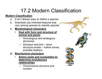 17.2 Modern Classification