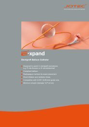 Stentgraft Balloon Catheter - Adef-Rio