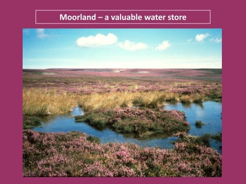 Activity 1. Powerpoint presentation about moorland - North York ...