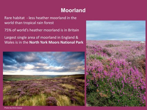 Activity 1. Powerpoint presentation about moorland - North York ...