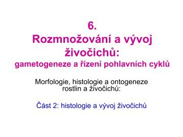 6. Rozmnožování a vývoj živočichů: gametogeneze řízení ... - eAMOS
