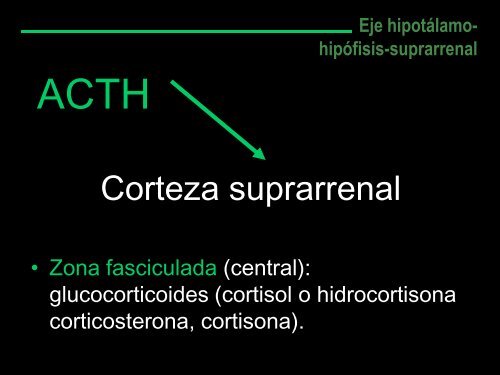 Glucocorticoides-Medula Suprarrenal-Respuesta ... - VeoApuntes.com