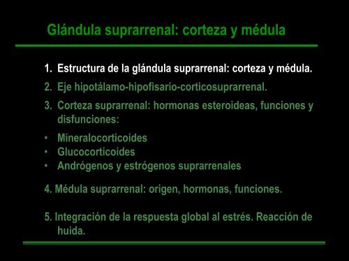 Glucocorticoides-Medula Suprarrenal-Respuesta ... - VeoApuntes.com