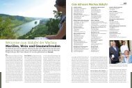 Weinreise zum Südufer der Wachau: Marillen, Wein ... - Josef Fischer