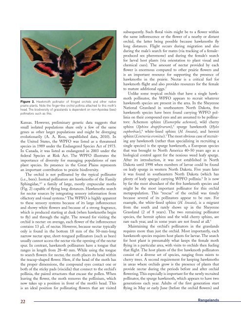 Rangeland Magazine: Special Issue on Pollinators - The Xerces ...