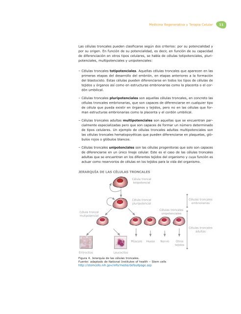 Medicina Regenerativa y Terapia Celular - ICONO - FundaciÃ³n ...