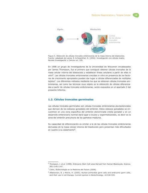Medicina Regenerativa y Terapia Celular - ICONO - FundaciÃ³n ...