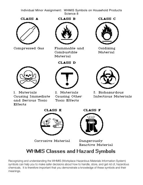 Individual Minor Assignment WHMIS Symbols On Household 