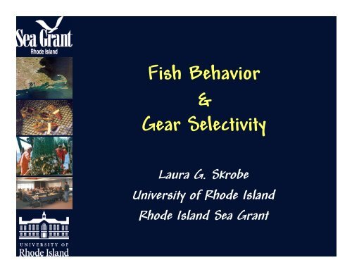 Fish Behavior & Gear Selectivity - Rhode Island Sea Grant ...