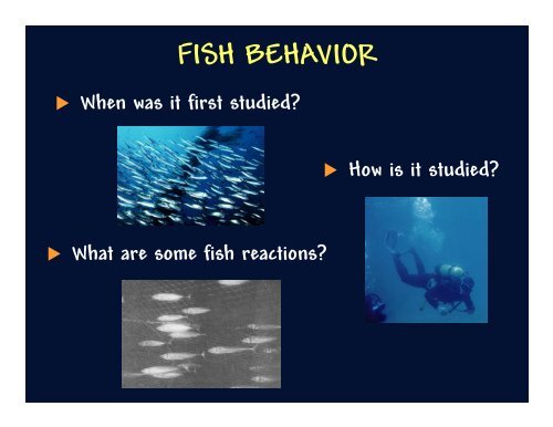 Fish Behavior & Gear Selectivity - Rhode Island Sea Grant ...