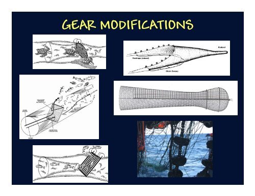 Fish Behavior & Gear Selectivity - Rhode Island Sea Grant ...