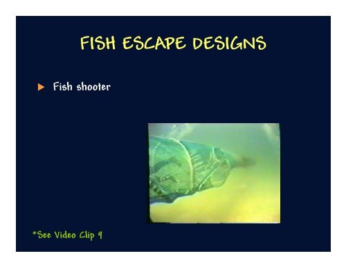 Fish Behavior & Gear Selectivity - Rhode Island Sea Grant ...