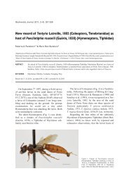 Tentyria (C. Tenebrionidae) - Biodiversity Journal