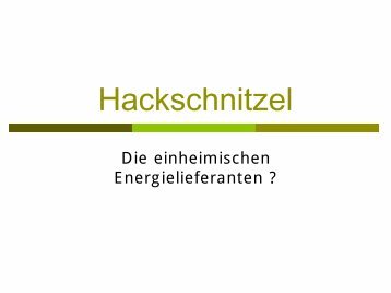 Vortrag: Hackschnitzel - Horst R. Dänzer