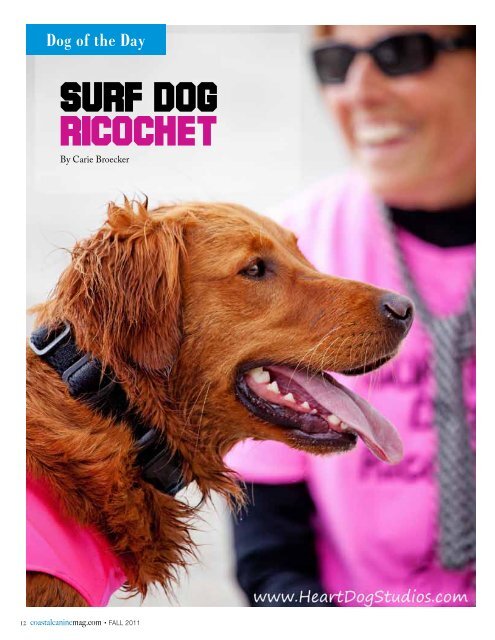For the Dogs - Coastal Canine Magazine