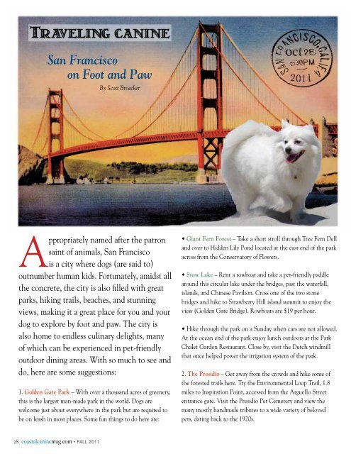 For the Dogs - Coastal Canine Magazine