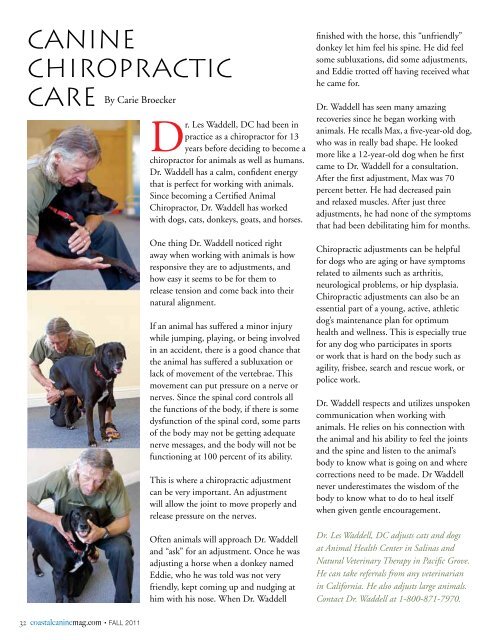 For the Dogs - Coastal Canine Magazine