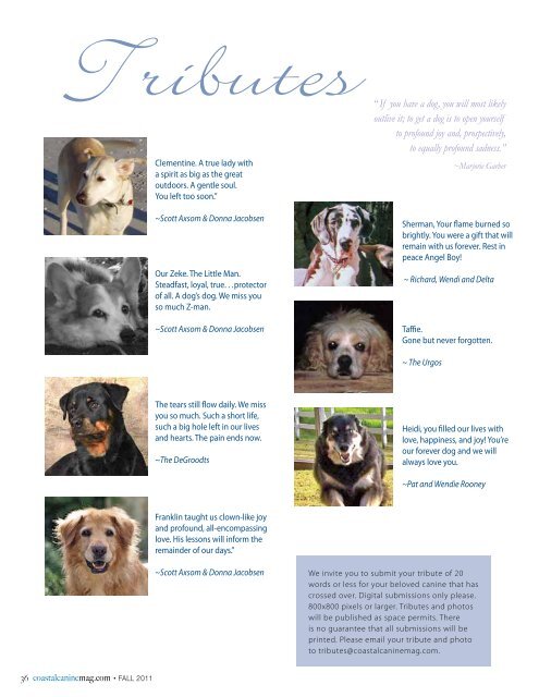 For the Dogs - Coastal Canine Magazine