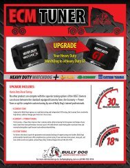 ECM Upgrade Flyer - Bully Dog Big Rig