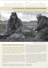 pdf 500KB - Ethiopian Wolf Conservation Programme