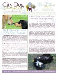 Dog-Dog Greetings - City Dog Country Dog Training