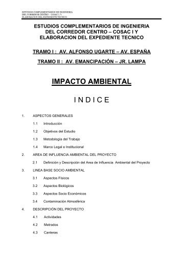 Informe de impacto ambiental - Protransporte