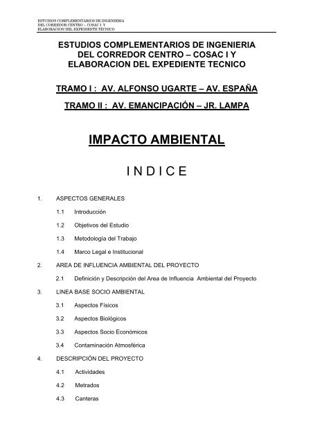 Informe de impacto ambiental - Protransporte